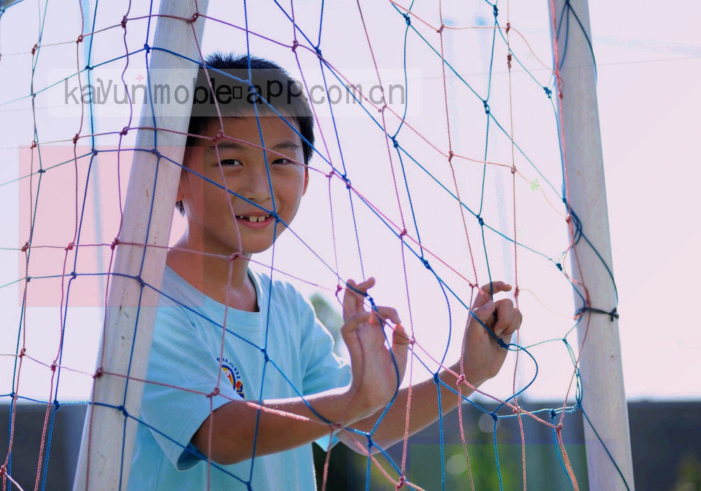叠放的印刷纸张与版本编号标签，边缘带深青描边，呈现可翻阅的层次感